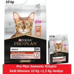 Pro Plan Vital Function 10 kg Somonlu Yetişkin Kedi Maması