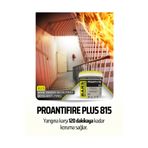 PROANTIFIRE Plus 815 Yangın Geciktirici Boya – Ahşap, Beton, Çelik İçin Alevle Şişen Kaplama