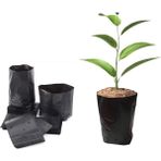 Probitki Plastik Poşet Saksı 6 Litre 28X30 cm 100 Adet