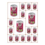 Prochef Yetişkin Dana Etli Özel Kıyılmış 16x415 gr Kedi Maması