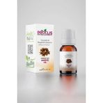 Proclis 2x10 ml %100 Doğal Saf Anason Yağı