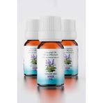 Proclis 3x10 ml %100 Doğal Adaçayı Yağı