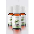 Proclis 3x10 ml Okaliptüs Yağ