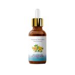 Proclis 50 ml Sarı Kantaron Yağı