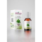 Proclis Fesleğen Yağı, 100 Doğal Uçucu Yağ, Basil Oil, Ocimum Basilicum L. 10ml - 10 ml