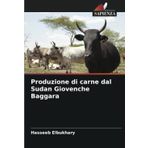 Produzione di carne dal Sudan Giovenche Baggara