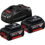 Professional 18 Volt Akü Şarj Cihazı Seti (2 x 5,0 Ah Li-Ion Akü + Gal 1880 Cv Şarj Cihazı, Karton Kutuda)