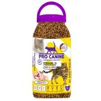 Professional Somonlu & Kızılcıklı Kitten Yavru Kedi Maması 5 Lt