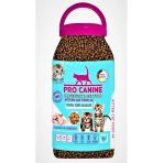 Professional Tavuklu & Karidesli Kitten Kedi Maması 5 Lt
