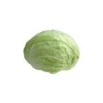 Profesyonel Beyaz Lahana Tohumu - 5 Gram