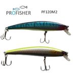 Profısher 2 Renk Set 2 Kanca Sahte Balık Yem 10 Gr 11,5 Cm Arrow