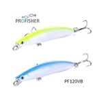 Profısher 2 Renk Set 2 Kanca Sahte Balık Yem 9 Gr 9 Cm B Luya