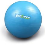 PROFORCE PİLATES TOPU 65 CM 1100 GR