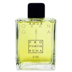 Profumum Roma Orangea EDP 100 ml Unisex Parfüm