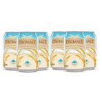 Promalt 6 lı Malt İçecek
