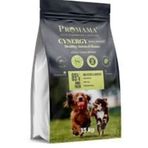 Promama Cynergy Mini Küçük Irk 15 kg Yetişkin Maması