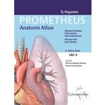 Prometheus Anatomi Atlası 2. Cilt - Markus Voll Michael Schünke Erik Schulte Udo Shumacher Karl Wesker