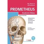 Prometheus Anatomi Atlası Cilt 3 Baş Boyun ve Nöroanatomi - Palme Yayınevi