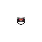 PROMOT OTOMOBİL MOTORSİKLET STİCKER REDBULL 3D DAMLA 2 Lİ OTO STİCKER LOGO 02