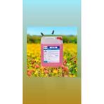 Propak Eli Sivi Arap Sabunu 5 Lt S-100