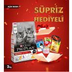 ProPlan Kitten Yavru Kedi Maması 2 Kg