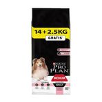 Proplan Somonlu 14 kg Orta Irk Yetişkin Köpek Maması