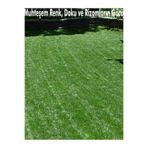 proplatin 7 Günde Çimlenen 7 Mix Çim Tohumu 3 Kg Grass Çayır Çimen Tohumu