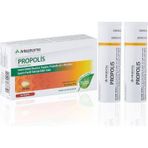 Propolis - 24 Pastil