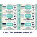 Proson Yüzey Temizlik Havlusu 100 Lü( 6lı) - 6 adet