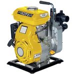 Proter PGS 150 Su Motoru