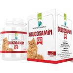 Provita Pharma Glusamin Cat 60 Tablet - HBCV00008OAC8X