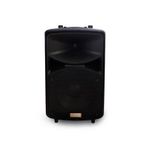 Provoice Hp-12 2 Yollu 600w 12 İnç Pasif Kabin Hoparlör