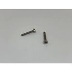 Psa Teknik M2.5X12 Ysb Minik Mikro Vida A2 Inox (10 Adet)