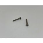 Psa Teknik M2.5X20 Ysb Minik Mikro Vida A2 Inox (10 Adet)
