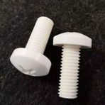 Psa Teknik M2.5x4 Ysb Plastik Vida (25 Adet)