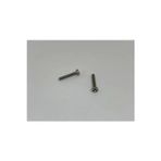 Psa Teknik M2X4 Ysb Minik Mikro Vida A2 Inox (10 Adet)