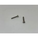 Psa Teknik M2X6 Ysb Minik Mikro Vida A2 Inox (10 Adet)