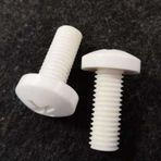 Psa Teknik M3X15 Ysb Plastik Vida (25 Adet)