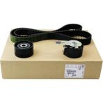Psa Triger Seti 137 Diş 0831.V4 206 207 3008 307 308 407 5008 Berlingo C3 C4 C5 Expert Jumpy Partner