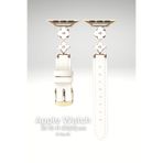 PSGT Apple Watch Seri 1-9 (38-40-41) ve S10-11-42mm Uyumlu Lüks Kordon Metal Derili 4Yaprak