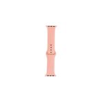 PSR aksesuar Watch 4860 Meat Meal Band 42 mm Klasik Silikon Strap Kayış Kordon