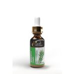 puer cheveu Biberiye Yağı Saç Dökülmesi ve Aşırı Yıpranmış Saçlar için Saç Bakımı 20 ml