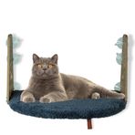 Pugalo Antrasit Cam Vantuzlu Kedi Cam Yatağı