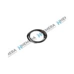 Pulo P1-rsb5-yt2c Sıs Far Cercevesı Sag Symbol Joy 17