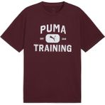 Puma 526568-96 M Graphics Traın Logo Rlxd Tee Tişört Erkek T-Shirt - XL - Bordo