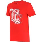 Puma 53485801 Türkiye Fan Tee Erkek Çok Renkli Basketbol Tişört