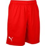 Puma 60547202 Turkey Practice Short Kırmızı Türkiye Erkek Basketbol Şortu