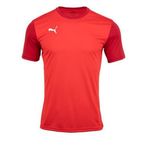 Puma 65648401 Team Goal 23 Sideline Tee Bisiklet Yaka Kısa Kol Tshirt