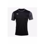 Puma 65648403 Teamgoal 23 Sideline Tee Siyah Erkek T-shirt