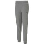 Puma 65708433 Teamgoal 23 Casuals Pants W Gri Kadın Antrenman Eşofman Altı